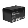 Batterie AGM Grüne Zelle 12V 12Ah