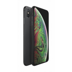 Apple iPhone XS MAX 256GB Grau, Klasse A-, gebraucht, Garantie 12 Monate, Mehrwertsteuer nicht ausweisbar