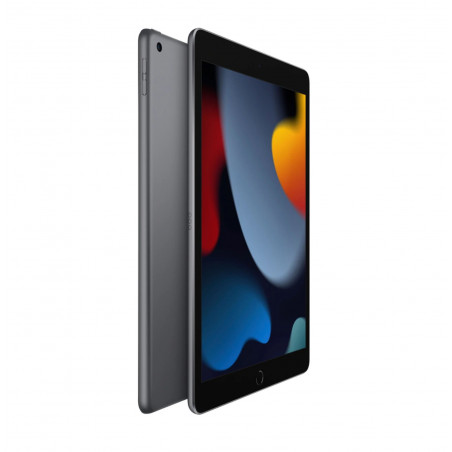 Apple iPad 9 WiFi 256 GB Grau, gebraucht, Klasse A, 12 Monate Garantie