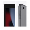 Apple iPad 9 WiFi 256 GB Grau, gebraucht, Klasse A, 12 Monate Garantie